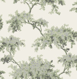 Brewster Ashdown Sage Tree Wallpaper Archive Collection Covers about 56.4 square feet Great Britain Unpasted 21-in repeat, drop match 20.5-in by 33-ft long roll - My Fabric Connection - Brewster Ashdown Sage Tree Wallpaper Archive Collection Covers about 56.4 square feet Great Britain Unpasted 21-in repeat, drop match 20.5-in by 33-ft long roll - My Fabric Connection -