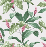 Brewster Meridian Parade Green Tropical Leaves Wallpaper Archive Collection Covers about 56.4 square feet Great Britain Unpasted 21-in repeat, drop match 20.5-in by 33-ft long roll - My Fabric Connection - Brewster Meridian Parade Green Tropical Leaves Wallpaper Archive Collection Covers about 56.4 square feet Great Britain Unpasted 21-in repeat, drop match 20.5-in by 33-ft long roll - My Fabric Connection -