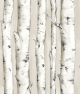 Chesapeake Pioneer Off White Birch Tree Wallpaper Birch & Sparrow Covers about 56.4 square feet United States Prepasted 24-in repeat, drop match 20.5-in by 33-ft long roll - My Fabric Connection - Chesapeake Pioneer Off White Birch Tree Wallpaper Birch & Sparrow Covers about 56.4 square feet United States Prepasted 24-in repeat, drop match 20.5-in by 33-ft long roll - My Fabric Connection -