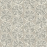 Chesapeake Sea Biscuit Grey Sand Dollar Wallpaper Blue Heron Covers about 56.4 square feet United States Prepasted 20.5-in repeat, straight match 20.5-in by 33-ft long roll - My Fabric Connection - Chesapeake Sea Biscuit Grey Sand Dollar Wallpaper Blue Heron Covers about 56.4 square feet United States Prepasted 20.5-in repeat, straight match 20.5-in by 33-ft long roll - My Fabric Connection -