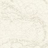 Chesapeake Charts Taupe Nautical Chart Wallpaper Blue Heron Covers about 56.4 square feet United States Prepasted 20.5-in repeat, half drop match 20.5-in by 33-ft long roll - My Fabric Connection - Chesapeake Charts Taupe Nautical Chart Wallpaper Blue Heron Covers about 56.4 square feet United States Prepasted 20.5-in repeat, half drop match 20.5-in by 33-ft long roll - My Fabric Connection -