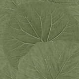 ESTA Home Xylem Olive Large Leaves Wallpaper Design Department Covers about 57.5 square feet Netherlands Unpasted 20.9-in repeat, half drop match 20.9-in by 33-ft long roll - My Fabric Connection - ESTA Home Xylem Olive Large Leaves Wallpaper Design Department Covers about 57.5 square feet Netherlands Unpasted 20.9-in repeat, half drop match 20.9-in by 33-ft long roll - My Fabric Connection -