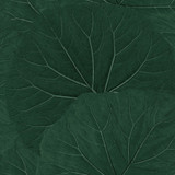 ESTA Home Xylem Evergreen Large Leaves Wallpaper Design Department Covers about 57.5 square feet Netherlands Unpasted 20.9-in repeat, half drop match 20.9-in by 33-ft long roll - My Fabric Connection - ESTA Home Xylem Evergreen Large Leaves Wallpaper Design Department Covers about 57.5 square feet Netherlands Unpasted 20.9-in repeat, half drop match 20.9-in by 33-ft long roll - My Fabric Connection -