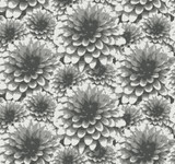A-Street Prints Umbra Charcoal Floral Wallpaper Equinox Covers about 60.8 square feet Great Britain Unpasted 12.6-in repeat, drop match 27-in by 27-ft long roll - My Fabric Connection - A-Street Prints Umbra Charcoal Floral Wallpaper Equinox Covers about 60.8 square feet Great Britain Unpasted 12.6-in repeat, drop match 27-in by 27-ft long roll - My Fabric Connection -