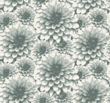 A-Street Prints Umbra Teal Floral Wallpaper Equinox Covers about 60.8 square feet Great Britain Unpasted 12.6-in repeat, drop match 27-in by 27-ft long roll - My Fabric Connection -