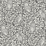 Chesapeake Parliament Brown Owl Wallpaper Farmhouse Covers about 56.4 square feet United States Prepasted 20.9-in repeat, straight match 20.5-in by 33-ft long roll - My Fabric Connection - Chesapeake Parliament Brown Owl Wallpaper Farmhouse Covers about 56.4 square feet United States Prepasted 20.9-in repeat, straight match 20.5-in by 33-ft long roll - My Fabric Connection -