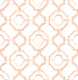 A-Street Prints Gallina Orange Trellis Wallpaper Happy Covers about 56.4 square feet Great Britain Unpasted 10.4-in repeat, straight match 20.5-in by 33-ft long roll - My Fabric Connection - A-Street Prints Gallina Orange Trellis Wallpaper Happy Covers about 56.4 square feet Great Britain Unpasted 10.4-in repeat, straight match 20.5-in by 33-ft long roll - My Fabric Connection -