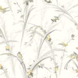 Chesapeake Meadowlark Yellow Botanical Wallpaper Kindred Covers about 56.4 square feet United States Prepasted 20.5-in repeat, straight match 20.5-in by 33-ft long roll - My Fabric Connection - Chesapeake Meadowlark Yellow Botanical Wallpaper Kindred Covers about 56.4 square feet United States Prepasted 20.5-in repeat, straight match 20.5-in by 33-ft long roll - My Fabric Connection -