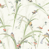 Chesapeake Meadowlark Light Green Botanical Wallpaper Kindred Covers about 56.4 square feet United States Prepasted 20.5-in repeat, drop match 20.5-in by 33-ft long roll - My Fabric Connection - Chesapeake Meadowlark Light Green Botanical Wallpaper Kindred Covers about 56.4 square feet United States Prepasted 20.5-in repeat, drop match 20.5-in by 33-ft long roll - My Fabric Connection -