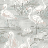 Chesapeake Everglades Grey Flamingos Wallpaper Sanibel Covers about 56.4 square feet United States Prepasted 20.5-in repeat, drop match 20.5-in by 33-ft long roll - My Fabric Connection - Chesapeake Everglades Grey Flamingos Wallpaper Sanibel Covers about 56.4 square feet United States Prepasted 20.5-in repeat, drop match 20.5-in by 33-ft long roll - My Fabric Connection -