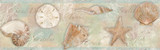 Chesapeake Quinten Brown Shells Wallpaper Sanibel Covers about 9.7 square feet United States Prepasted Frame the room with this lovely border 7.75-in by 15-ft long roll - My Fabric Connection - Chesapeake Quinten Brown Shells Wallpaper Sanibel Covers about 9.7 square feet United States Prepasted Frame the room with this lovely border 7.75-in by 15-ft long roll - My Fabric Connection -