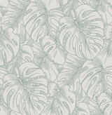 A-Street Prints Balboa Olive Botanical Wallpaper Scott Living Covers about 56.4 square feet Great Britain Unpasted 21.1-in repeat, straight match 20.5-in by 33-ft long roll - My Fabric Connection -