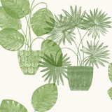 A-Street Prints Aida Green Potted Plant Wallpaper Seychelles Covers about 60.8 square feet Great Britain Unpasted 27-in repeat, half drop match 27-in by 27-ft long roll - My Fabric Connection -