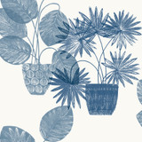 A-Street Prints Aida Blue Potted Plant Wallpaper Seychelles Covers about 60.8 square feet Great Britain Unpasted 27-in repeat, half drop match 27-in by 27-ft long roll - My Fabric Connection - A-Street Prints Aida Blue Potted Plant Wallpaper Seychelles Covers about 60.8 square feet Great Britain Unpasted 27-in repeat, half drop match 27-in by 27-ft long roll - My Fabric Connection -