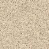 A-Street Prints Lark Beige Botanical Wallpaper Spring Covers about 56.4 square feet Sweden Unpasted 6.9-in repeat, straight match 20.5-in by 33-ft long roll - My Fabric Connection - A-Street Prints Lark Beige Botanical Wallpaper Spring Covers about 56.4 square feet Sweden Unpasted 6.9-in repeat, straight match 20.5-in by 33-ft long roll - My Fabric Connection -