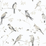 Chesapeake Birdsong Grey Trail Wallpaper Thoreau Covers about 56.4 square feet United States Prepasted 20.5-in repeat, half drop match 20.5-in by 33-ft long roll - My Fabric Connection -