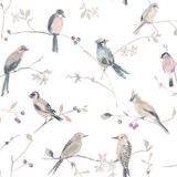 Chesapeake Birdsong Mauve Trail Wallpaper Thoreau Covers about 56.4 square feet United States Prepasted 20.5-in repeat, half drop match 20.5-in by 33-ft long roll - My Fabric Connection -