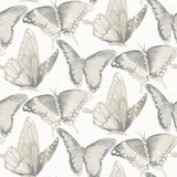 Chesapeake Janetta Grey Butterfly Wallpaper Thoreau Covers about 56.4 square feet United States Prepasted 10.25-in repeat, straight match 20.5-in by 33-ft long roll - My Fabric Connection -