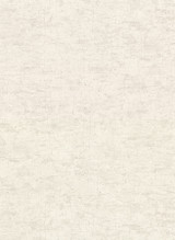 Warner Pembroke Off White Faux Plaster Wallpaper Warner Textures IX 2754 Main Street Covers about 60.8 square feet United States Unpasted 20.5-in repeat, straight match 27-in by 27-ft long roll - My Fabric Connection -