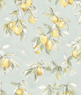 Chesapeake Lemonade Aqua Citrus Wallpaper Wildflower Covers about 56.4 square feet United States Prepasted 24-in repeat, half drop match 20.5-in by 33-ft long roll - My Fabric Connection - Chesapeake Lemonade Aqua Citrus Wallpaper Wildflower Covers about 56.4 square feet United States Prepasted 24-in repeat, half drop match 20.5-in by 33-ft long roll - My Fabric Connection -