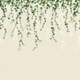 Advantage Trailing Ivy Green Wall Mural Westbury Forest Covers 6 panels measuring 9.8-ft wide by 9.8-ft tall when assembled Great Britain Unpasted Reverse Hang 19.6-in by 9.8-ft long roll - My Fabric Connection - Advantage Trailing Ivy Green Wall Mural Westbury Forest Covers 6 panels measuring 9.8-ft wide by 9.8-ft tall when assembled Great Britain Unpasted Reverse Hang 19.6-in by 9.8-ft long roll - My Fabric Connection -