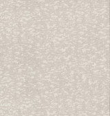 Antonina Vella Weathered Cypress White Wallpaper Antonina Vella Dazzling Dimensions Volume II Covers about 60.8 square feet China Unpasted 20.875-in repeat, drop match 27-in by 27-ft long roll - My Fabric Connection -