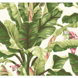 York Wallcoverings Banana Leaf Dark Brown & Pink Wallpaper Ashford Tropics Covers about 60.8 square feet Prepasted 25.25-in repeat, drop match 27-in by 27-ft long roll - My Fabric Connection -