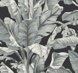 Inspired by Color Banana Leaf Black & White Wallpaper Black & White Resource Library Covers about 60.8 square feet Prepasted 25.25-in repeat, drop match 27-in by 27-ft long roll - My Fabric Connection - Inspired by Color Banana Leaf Black & White Wallpaper Black & White Resource Library Covers about 60.8 square feet Prepasted 25.25-in repeat, drop match 27-in by 27-ft long roll - My Fabric Connection -