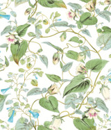 York Wallcoverings Moon Flower White Wallpaper Blooms Covers about 56.4 square feet Unpasted 24-in repeat, drop match 20.5-in by 33-ft long roll - My Fabric Connection - York Wallcoverings Moon Flower White Wallpaper Blooms Covers about 56.4 square feet Unpasted 24-in repeat, drop match 20.5-in by 33-ft long roll - My Fabric Connection -