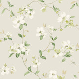 York Wallcoverings Dogwood Light Grey Wallpaper Blooms Covers about 56.4 square feet Unpasted 10.25-in repeat, drop match 20.5-in by 33-ft long roll - My Fabric Connection -