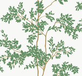 York Wallcoverings Lunaria Silhouette White & Green Wallpaper Blooms Covers about 60.8 square feet Unpasted 25.25-in repeat, drop match 27-in by 27-ft long roll - My Fabric Connection - York Wallcoverings Lunaria Silhouette White & Green Wallpaper Blooms Covers about 60.8 square feet Unpasted 25.25-in repeat, drop match 27-in by 27-ft long roll - My Fabric Connection -