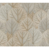 Candice Olson Leaf Concerto Taupe Wallpaper Candice Olson Modern Nature 2nd Edition Covers about 60.8 square feet Unpasted 24-in repeat, straight match 27-in by 27-ft long roll - My Fabric Connection - Candice Olson Leaf Concerto Taupe Wallpaper Candice Olson Modern Nature 2nd Edition Covers about 60.8 square feet Unpasted 24-in repeat, straight match 27-in by 27-ft long roll - My Fabric Connection -