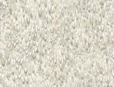 Ronald Redding Aslan Neutral Wallpaper Classics Covers about 60.8 square feet Unpasted 20.5-in repeat, drop match 27-in by 27-ft long roll - My Fabric Connection - Ronald Redding Aslan Neutral Wallpaper Classics Covers about 60.8 square feet Unpasted 20.5-in repeat, drop match 27-in by 27-ft long roll - My Fabric Connection -