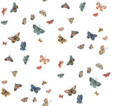 Rifle Paper Co. Butterfly House White Wallpaper Rifle Paper Co. 3rd Edition Covers about 60.8 square feet Unpasted 25.25-in repeat, straight match 27-in by 27-ft long roll - My Fabric Connection - Rifle Paper Co. Butterfly House White Wallpaper Rifle Paper Co. 3rd Edition Covers about 60.8 square feet Unpasted 25.25-in repeat, straight match 27-in by 27-ft long roll - My Fabric Connection -