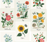 Rifle Paper Co. Botanical Prints White & Pink Wallpaper Rifle Paper Co. Second Edition Covers about 60.8 square feet Unpasted 24-in repeat, drop match 27-in by 27-ft long roll - My Fabric Connection - Rifle Paper Co. Botanical Prints White & Pink Wallpaper Rifle Paper Co. Second Edition Covers about 60.8 square feet Unpasted 24-in repeat, drop match 27-in by 27-ft long roll - My Fabric Connection -