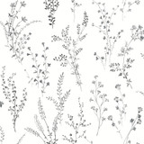 York Wallcoverings Wildflower Sprigs Black & White Peel & Stick Wallpaper Watercolor Botanicals Covers about 34.2 square feet Peel & Stick 20.5-in repeat, drop match 20.5-in by 20-ft long roll - My Fabric Connection -