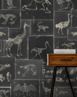 ZOOARCHAEOLOGY Anthracite Wallpaper (WP20237) by Mind The Gap Designer Wallpaper | WP20237 | PREMIUM DESIGNER WALLPAPER COLLECTION | 3 rolls x 20.5 x 118.1 in | 0.52m / 20.5in | 3m / 118in | 4.65mp | 300cm / 118in | Anthracite, Grey | Non-woven | Paste the wall | 3-rolls in a box | Fabric Carolina | https://www.fabriccarolina.com/