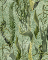 AQUATIC PLANTS Wallpaper (WP20717) by Mind The Gap Designer Wallpaper | WP20717 | THE WETLANDS | 1 roll x 20.47 x 354.33 in | 0.52m / 20.5in | 9m / 354in | 4.68mp | 52cm / 20.5in | Cream, Green | Non-woven | Paste the wall | 1-roll in a box | Fabric Carolina | https://www.fabriccarolina.com/