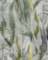 AQUATIC PLANTS Grey Wallpaper (WP20718) by Mind The Gap Designer Wallpaper | WP20718 | THE WETLANDS | 1 roll x 20.47 x 354.33 in | 0.52m / 20.5in | 9m / 354in | 4.68mp | 52cm / 20.5in | Cream, Green, Grey | Non-woven | Paste the wall | 1-roll in a box | Fabric Carolina | https://www.fabriccarolina.com/