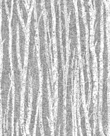 Advantage Toyon Black Birch Tree Wallpaper Nature Covers about 56.4 square feet 20.5-in by 33-ft long roll Unpasted 12.6 - My Fabric Connection - Advantage Toyon Black Birch Tree Wallpaper Nature Covers about 56.4 square feet 20.5-in by 33-ft long roll Unpasted 12.6 - My Fabric Connection -