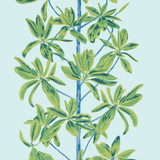 Thibaut Wallpaper Mangrove Tree Turquoise T45033 Wallpaper Wallpaper U.S.A </p><p>Repeat: H: , V: 36 (91.44 cm) 27 in (68.58 cm) - My Fabric Connection - Thibaut Wallpaper Mangrove Tree Turquoise T45033 Wallpaper Wallpaper U.S.A </p><p>Repeat: H: , V: 36 (91.44 cm) 27 in (68.58 cm) - My Fabric Connection -