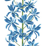 Thibaut Wallpaper Mangrove Tree Blue and White T45032 Wallpaper Wallpaper U.S.A </p><p>Repeat: H: , V: 36 (91.44 cm) 27 in (68.58 cm) - My Fabric Connection - Thibaut Wallpaper Mangrove Tree Blue and White T45032 Wallpaper Wallpaper U.S.A </p><p>Repeat: H: , V: 36 (91.44 cm) 27 in (68.58 cm) - My Fabric Connection -