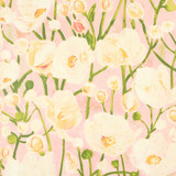 Thibaut Wallpaper Tivoli Seashell Pink T45015 Wallpaper Non Woven Wallpaper U.S.A </p><p>Repeat: H: , V: 36.25 (92.08 cm) 27 in (68.58 cm) - My Fabric Connection - Thibaut Wallpaper Tivoli Seashell Pink T45015 Wallpaper Non Woven Wallpaper U.S.A </p><p>Repeat: H: , V: 36.25 (92.08 cm) 27 in (68.58 cm) - My Fabric Connection -