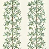 Thibaut Fabric Mangrove Tree Sage F945034 Fabric U.S.A </p><p>Repeat: H: 27 in (68.58 cm), V: 34.75 (88.27 cm) 54 in (137.16 cm) - My Fabric Connection - Thibaut Fabric Mangrove Tree Sage F945034 Fabric U.S.A </p><p>Repeat: H: 27 in (68.58 cm), V: 34.75 (88.27 cm) 54 in (137.16 cm) - My Fabric Connection -