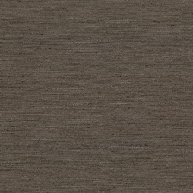 Kasmir Fabric Anantara Latte 5059 100% Polyester INDIA 30,000 Wyzenbeek Double Rubs H: N/A, V:N/A 55 - 56 - My Fabric Connection - Kasmir