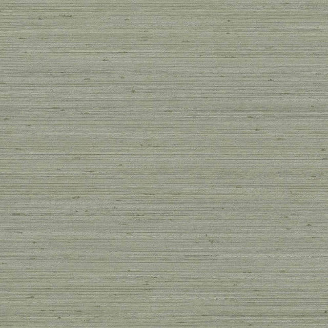Kasmir Fabric Anantara Silver Sage 5059 100% Polyester INDIA 30,000 Wyzenbeek Double Rubs H: N/A, V:N/A 55 - 56 - My Fabric Connection - Kasmir
