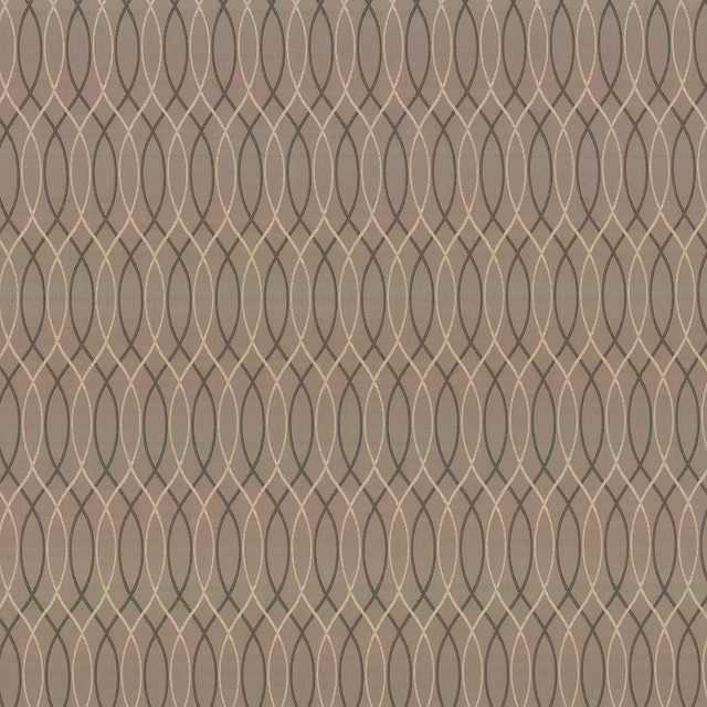 Kasmir Fabric Asher Trellis Truffle 1438 100% Polyester TURKEY 30,000 Wyzenbeek Double Rubs H: 2 2/8 inches, V:12 2/8 inches 57 - 58 - My Fabric Connection - Kasmir