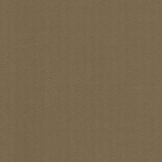 Kasmir Fabric Aventura Cocoa 5093 52% Polyester 48% Cotton INDIA 50,000 Wyzenbeek Double Rubs H: 1 inches, V:2/8 inches 54 - 55 - My Fabric Connection - Kasmir