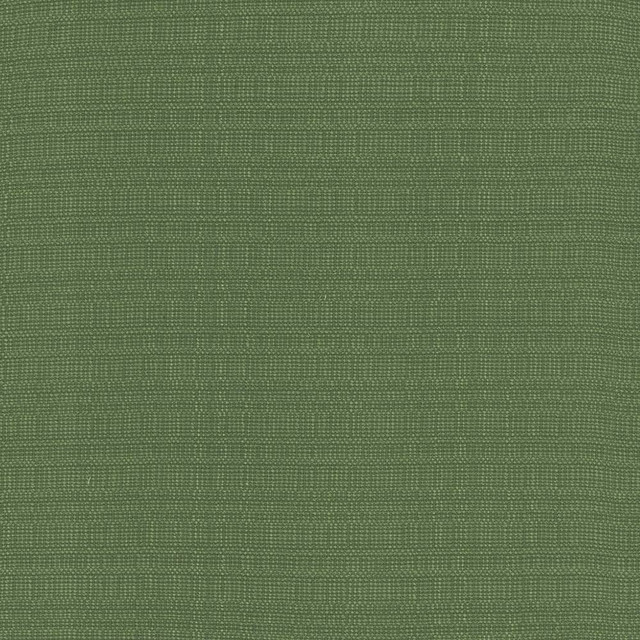 Kasmir Fabric Aziza Grass 5099 55% Rayon 45% Polyester CHINA 50,000 Martindale Cycles H: N/A, V:N/A 55 - 58 - My Fabric Connection - Kasmir