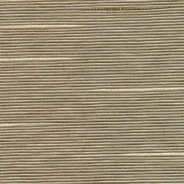 Kasmir Fabric Boxwood Husk 5002 55% Cotton 45% Polyester TAIWAN 30,000 Wyzenbeek Double Rubs H: N/A, V:N/A 54 - 55 - My Fabric Connection - Kasmir